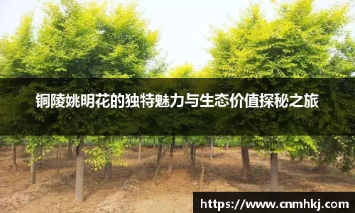 江南SPORTS体育